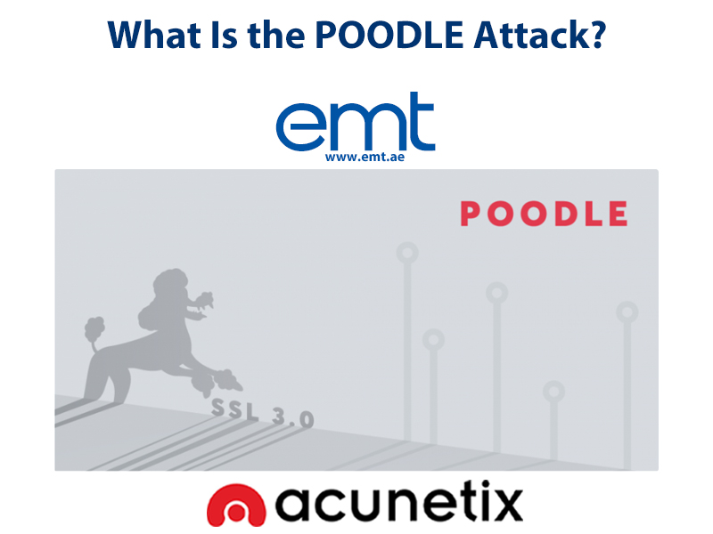 You are currently viewing What Is the POODLE Attack?