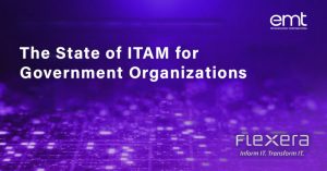 Read more about the article The State of ITAM for Government Organizations