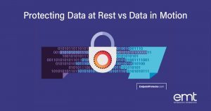 Read more about the article Protecting Data at Rest vs Data in Motion