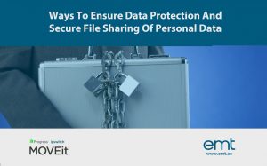 Read more about the article Ways To Ensure Data Protection And Secure File Sharing Of Personal Data