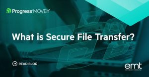 Read more about the article What Is Secure File Transfer?