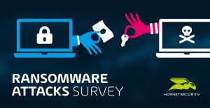 Read more about the article Ransomware Attacks Survey by Hornetsecurity