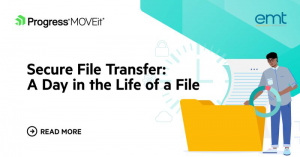 Read more about the article Secure File Transfer: A Day in the Life of a File